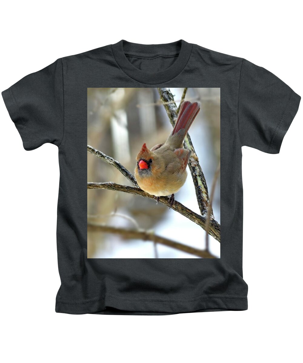 Northern Cardinal Kids T-Shirt featuring the photograph Northern Cardinal Female In Winter by Lyuba Filatova