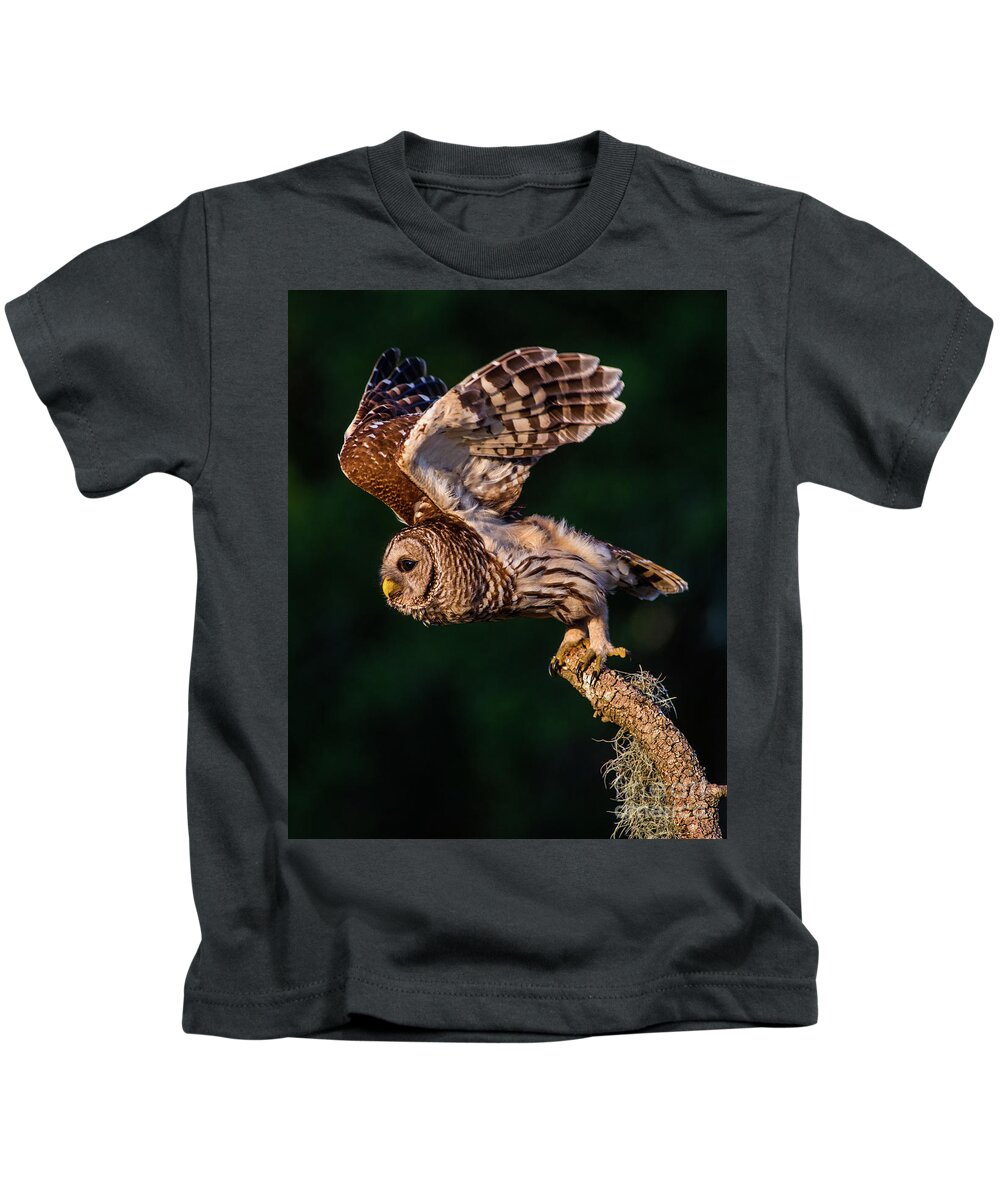 Barred Owl Kids T-Shirt featuring the photograph Off for the Hunt by Jane Axman