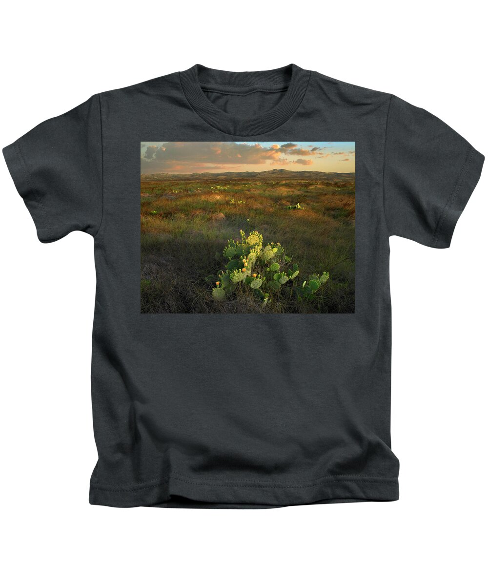 00544894 Kids T-Shirt featuring the photograph Opuntia, Mustang Island State Park, Texas by Tim Fitzharris