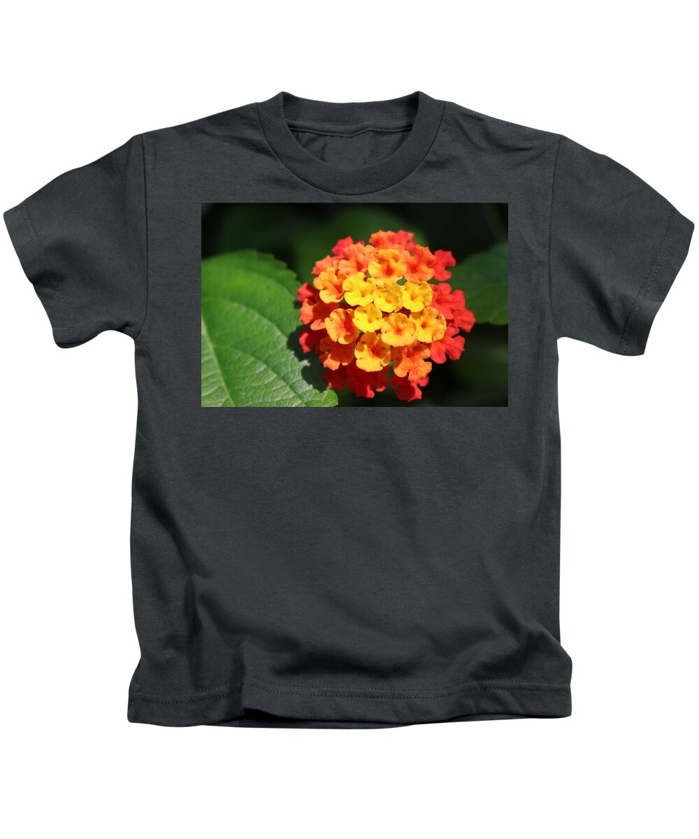Flower Kids T-Shirt featuring the photograph Orange Lantana by Christopher Lotito