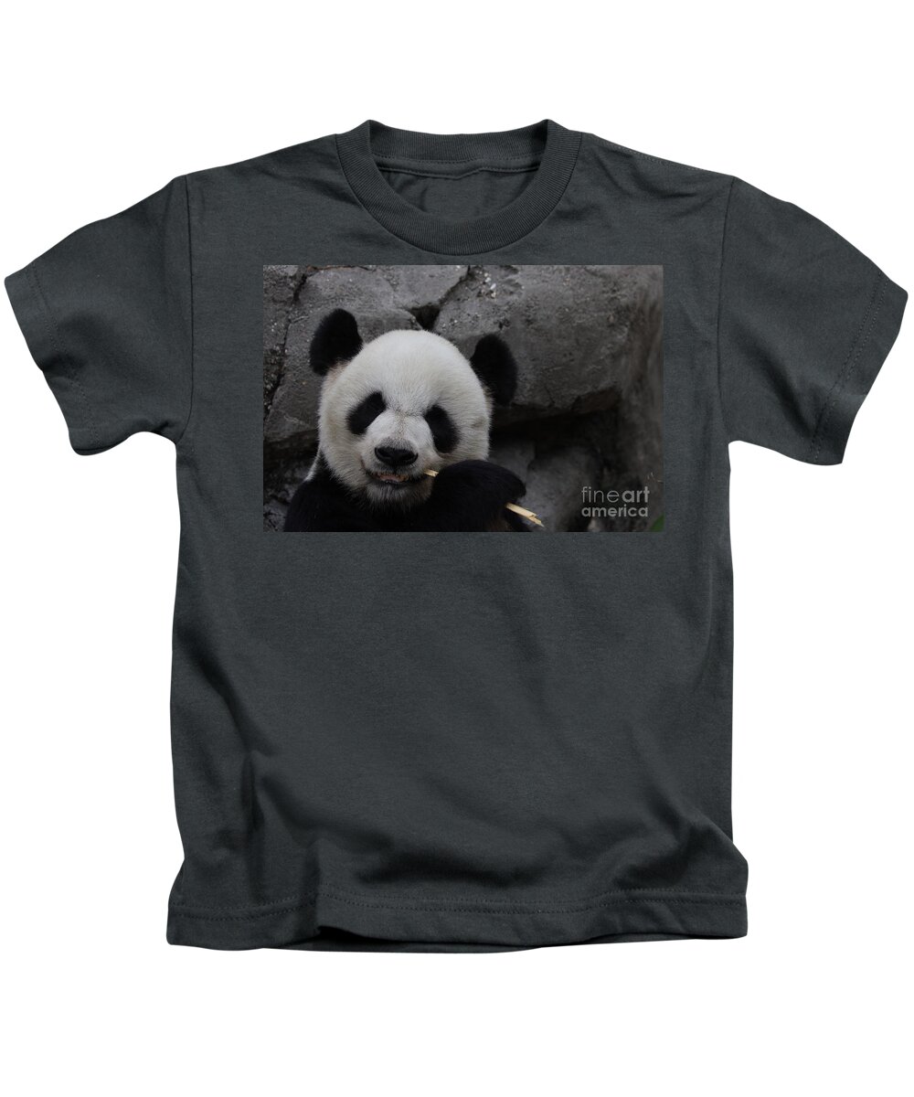 Panda Kids T-Shirt featuring the photograph Panda eating no 3 by Dwight Cook