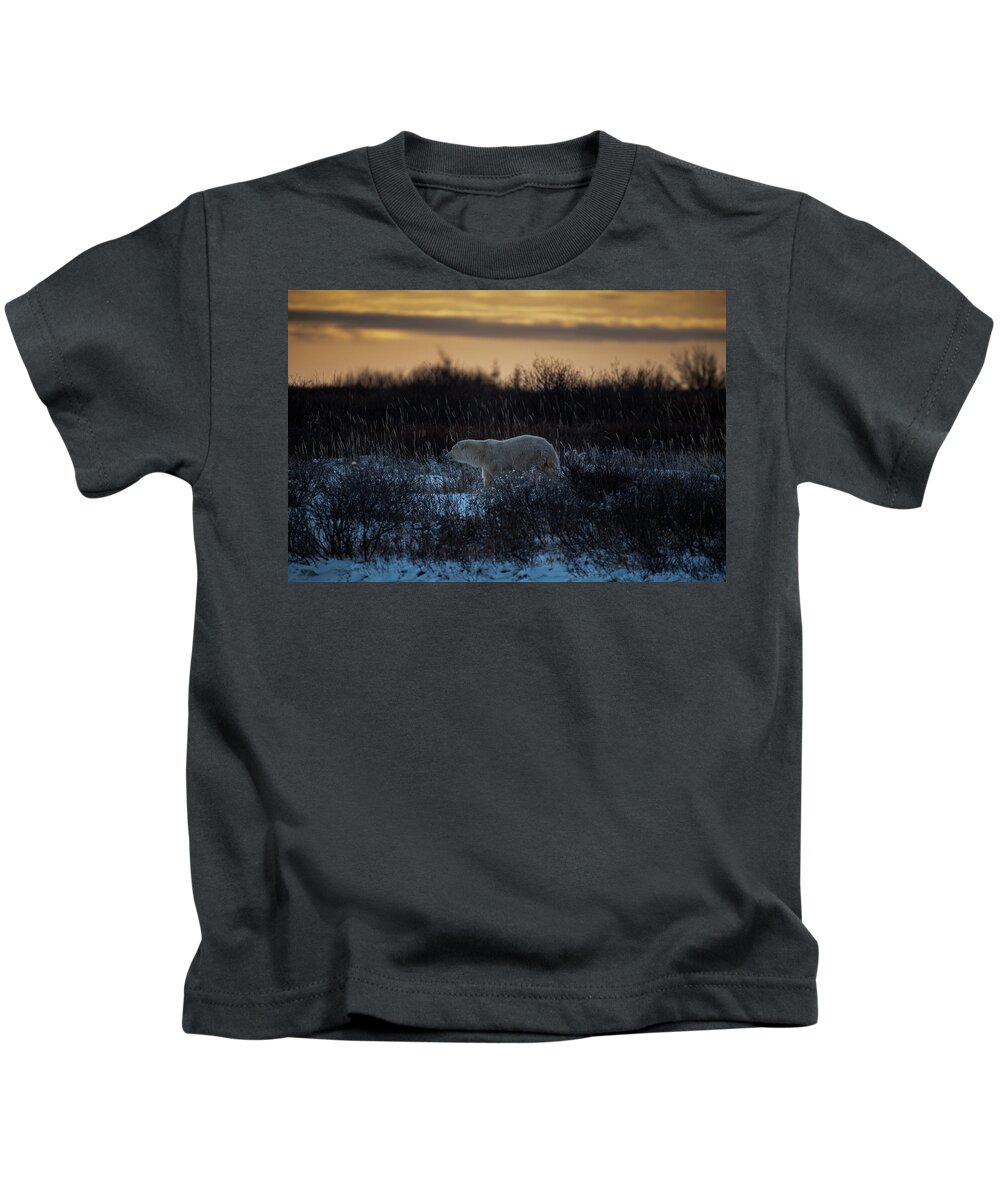 Bear Kids T-Shirt featuring the photograph Polar Bear at Dusk by Mark Hunter