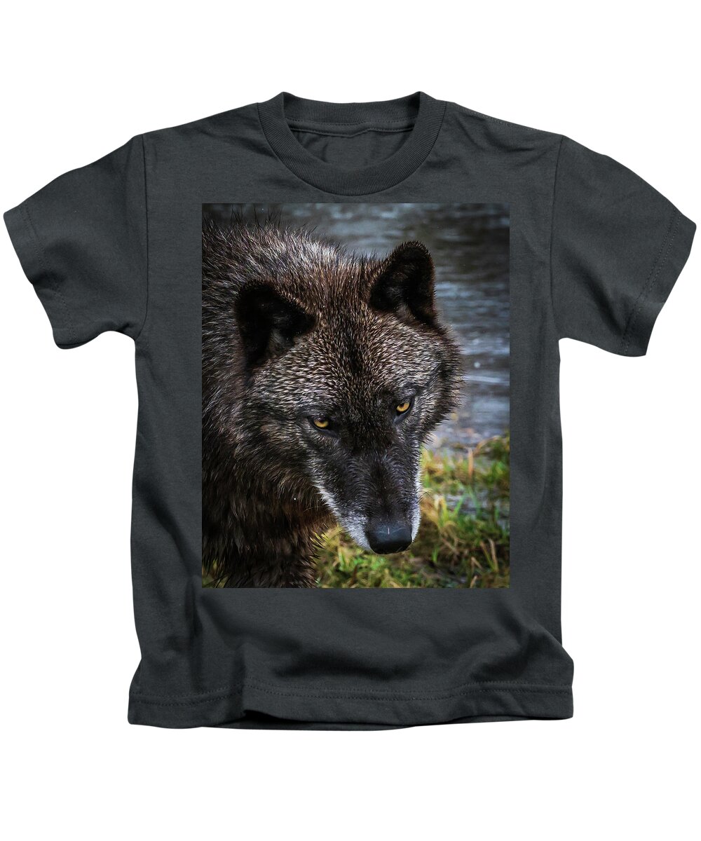 Black Wolf Wolves Kids T-Shirt featuring the photograph Portrait Niko by Laura Hedien