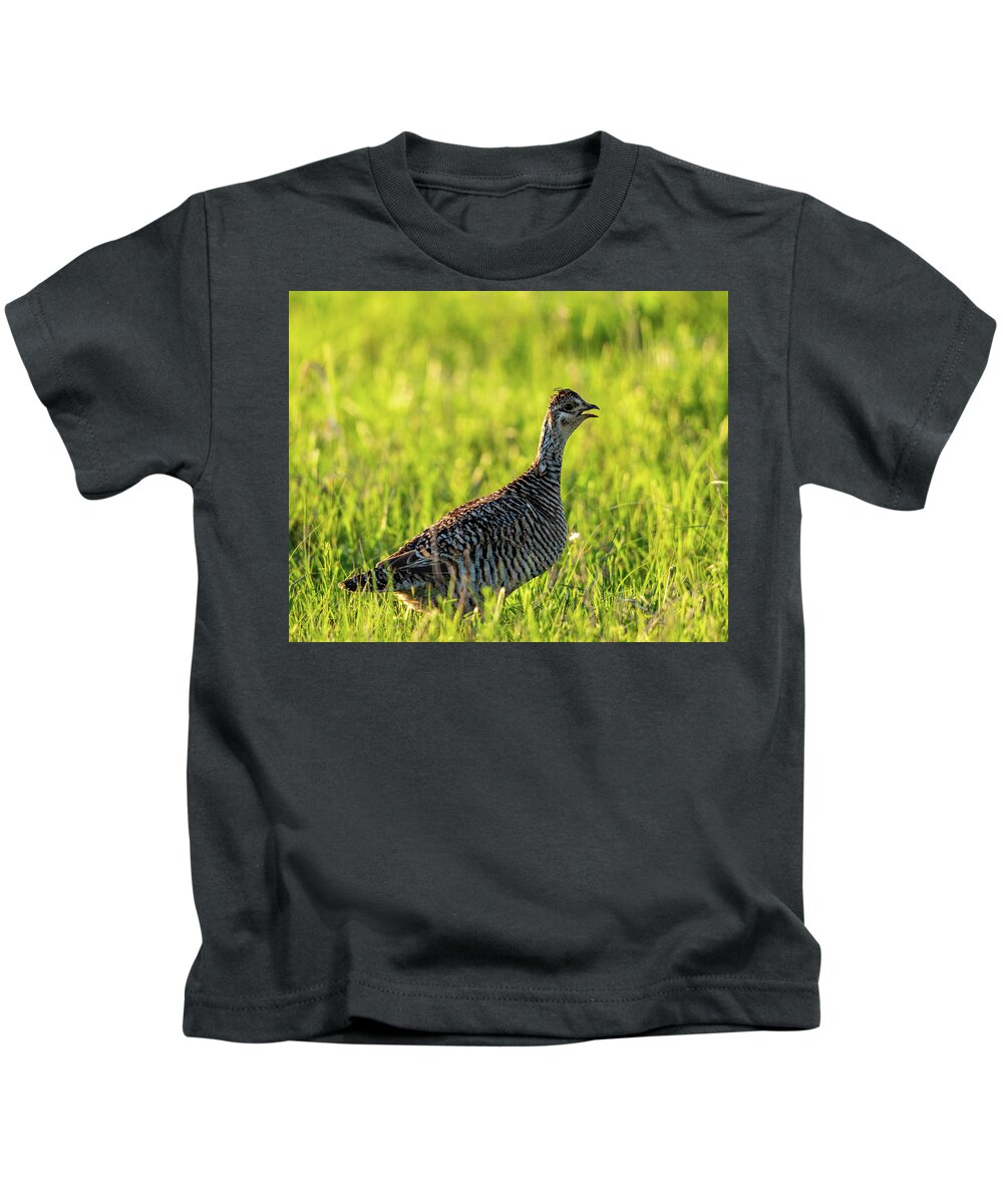 Greater Prairie-chicken (tympanuchus Cupido) Kids T-Shirt featuring the photograph Prairie Chicken Hen by Jeff Phillippi