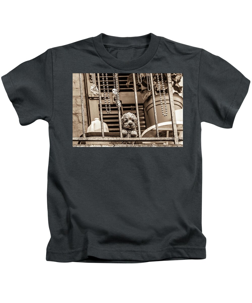 Photo Kids T-Shirt featuring the photograph Puppy with a view by Jason Hughes
