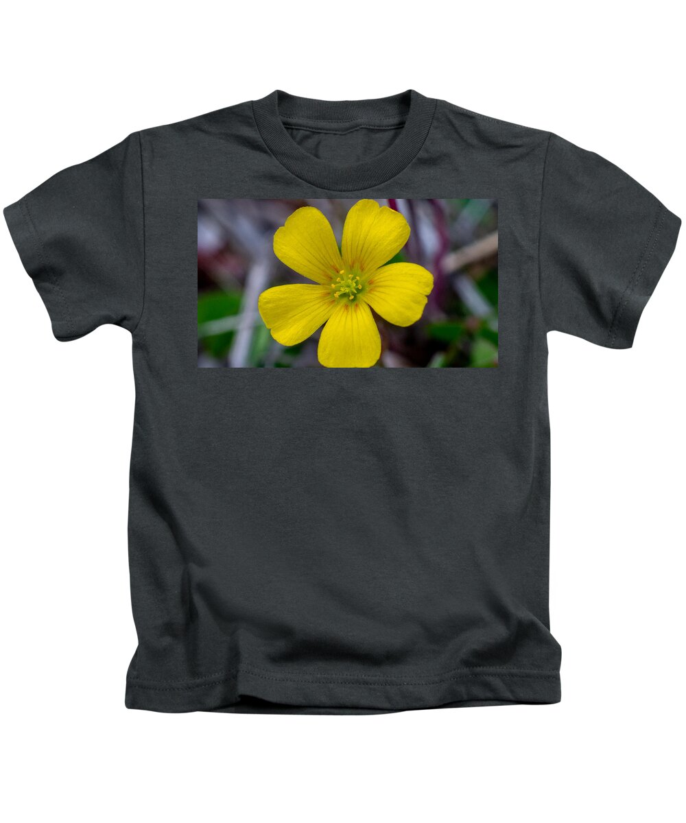 Flower Kids T-Shirt featuring the photograph Ready and Waiting by Ivars Vilums