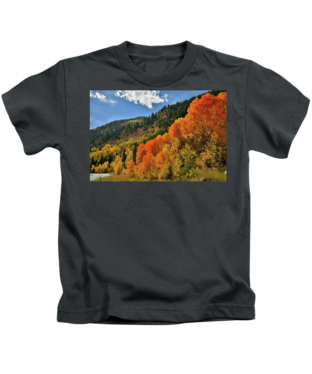 Colorado Kids T-Shirt featuring the photograph Red Aspens Along Highway 133 by Ray Mathis