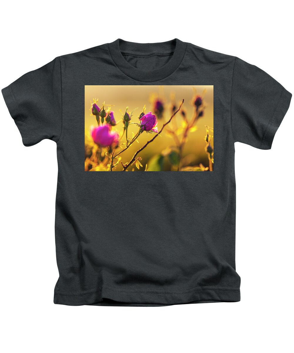 Bulgaria Kids T-Shirt featuring the photograph Roses In Gold by Evgeni Dinev