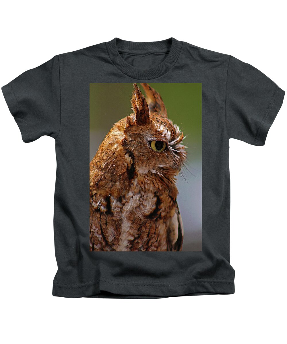 Owl Kids T-Shirt featuring the photograph Ruby's Upset by Michael Allard