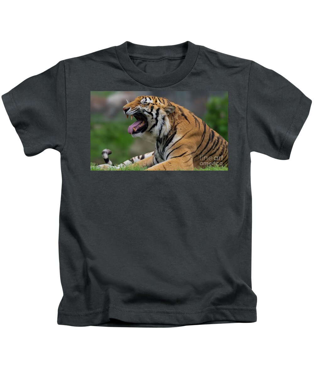 Tiger Kids T-Shirt featuring the photograph Say ahhhhhhh by Sam Rino