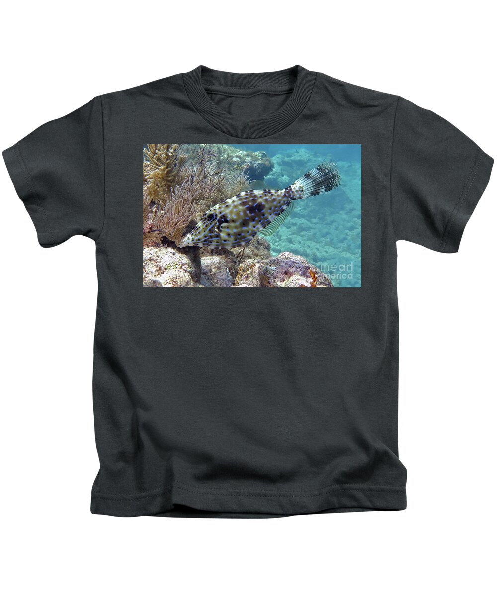 Underwater Kids T-Shirt featuring the photograph Scrawled Filefish 16 by Daryl Duda
