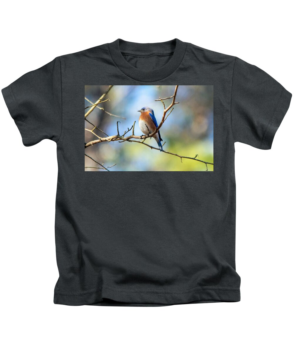 Eastern Bluebird Kids T-Shirt featuring the photograph Serene Bluebird by Mary Ann Artz