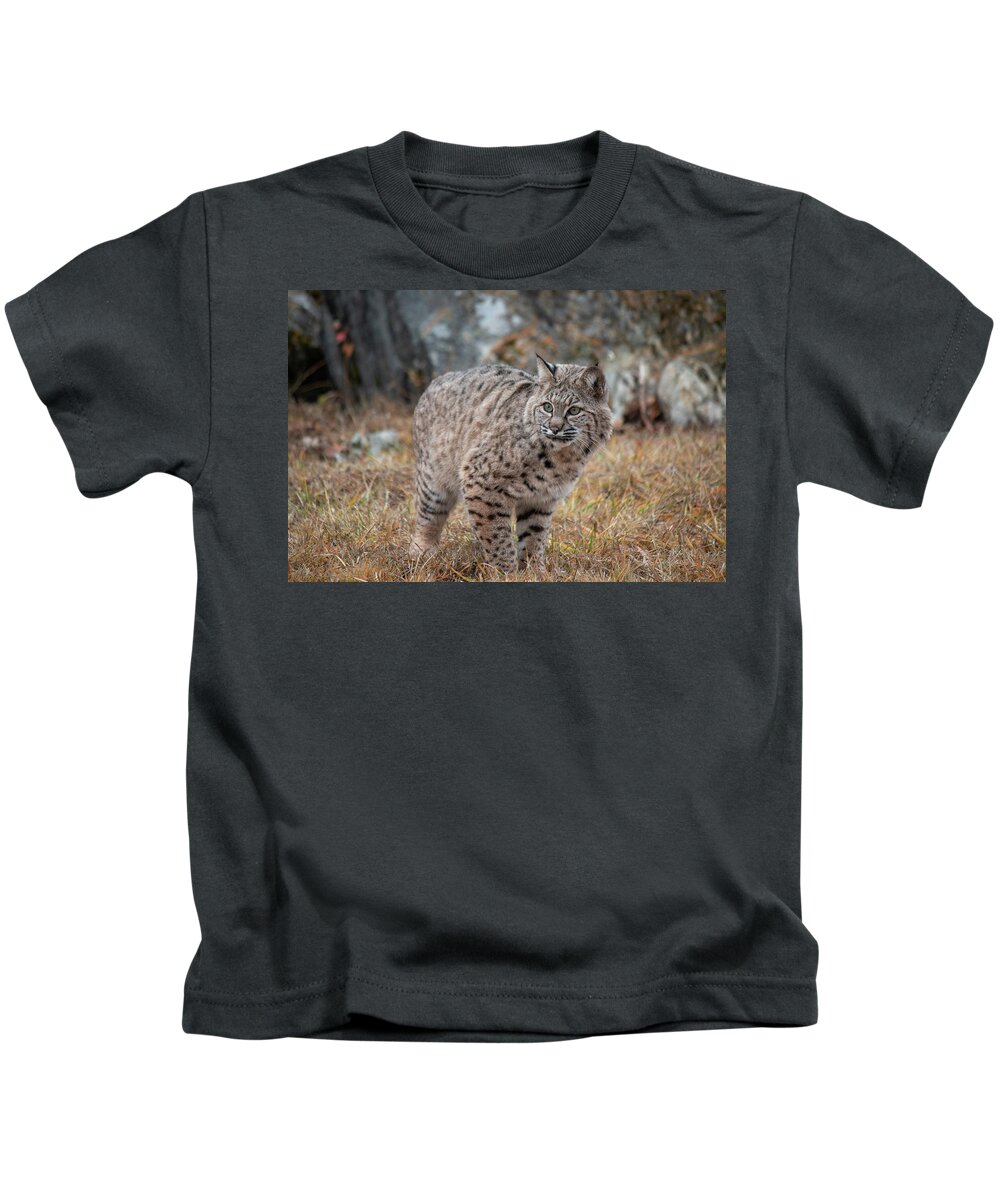 Adult Kids T-Shirt featuring the photograph Siberian Lynx Kitten 2478 by Teresa Wilson