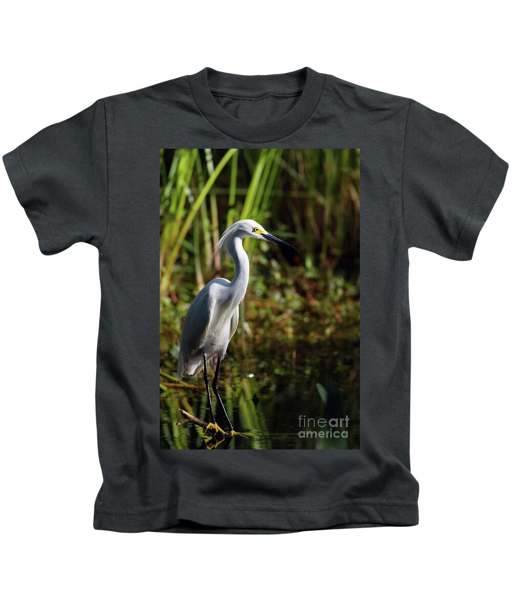 Egret Kids T-Shirt featuring the photograph Snowy Egret Dawn by Natural Focal Point Photography