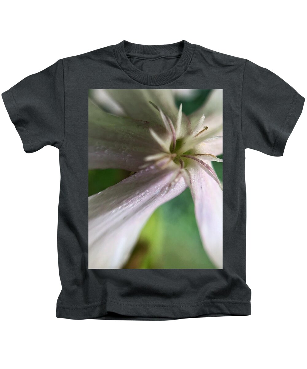 Common Soapwort Kids T-Shirt featuring the photograph Soapwort Flower Closeup by Jori Reijonen