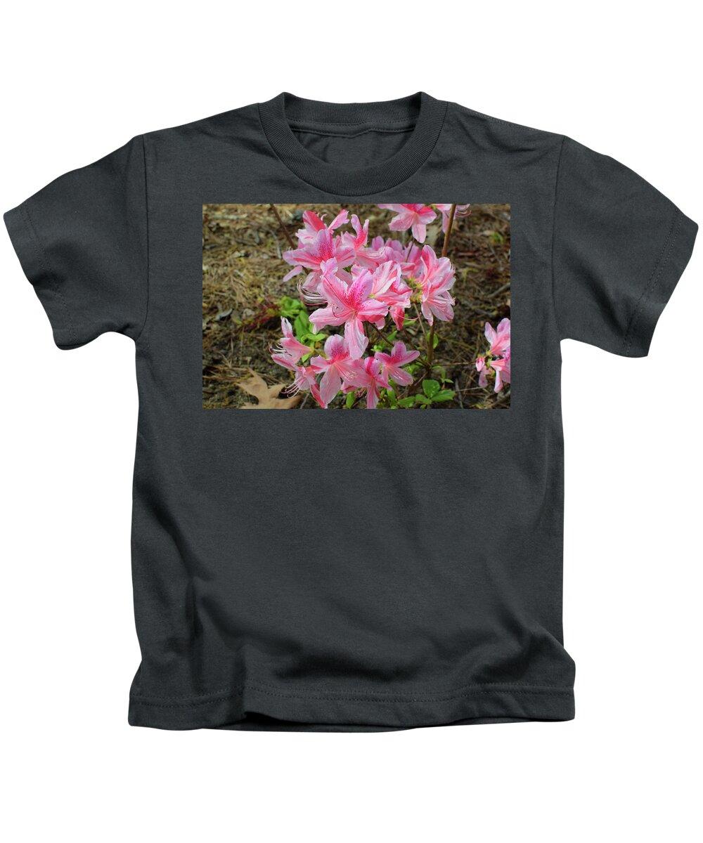 Azalea Kids T-Shirt featuring the photograph Spring Azaleas in Pink by Nicole Lloyd