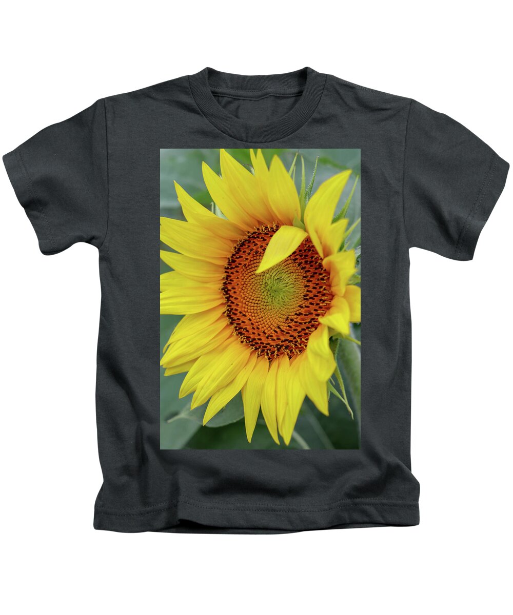 Sunflower Kids T-Shirt featuring the photograph Sunflower Wink by Mary Anne Delgado