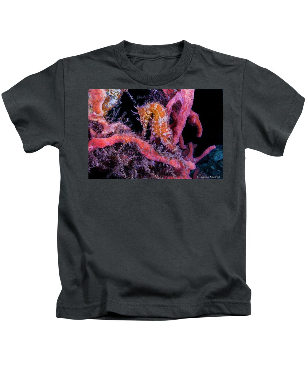 Seahorse Kids T-Shirt featuring the photograph Surrounded Colors by Sandra Edwards