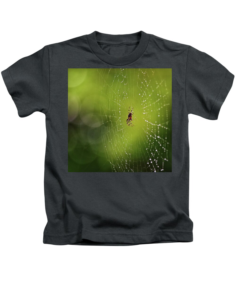 Spider Kids T-Shirt featuring the photograph The great architect in the morning light by Tatiana Travelways