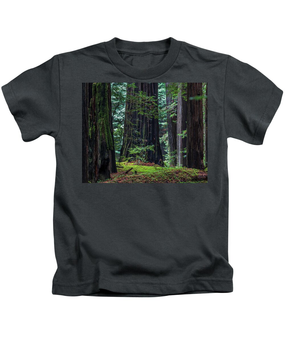 California Kids T-Shirt featuring the photograph The Hollow by Peter Tellone