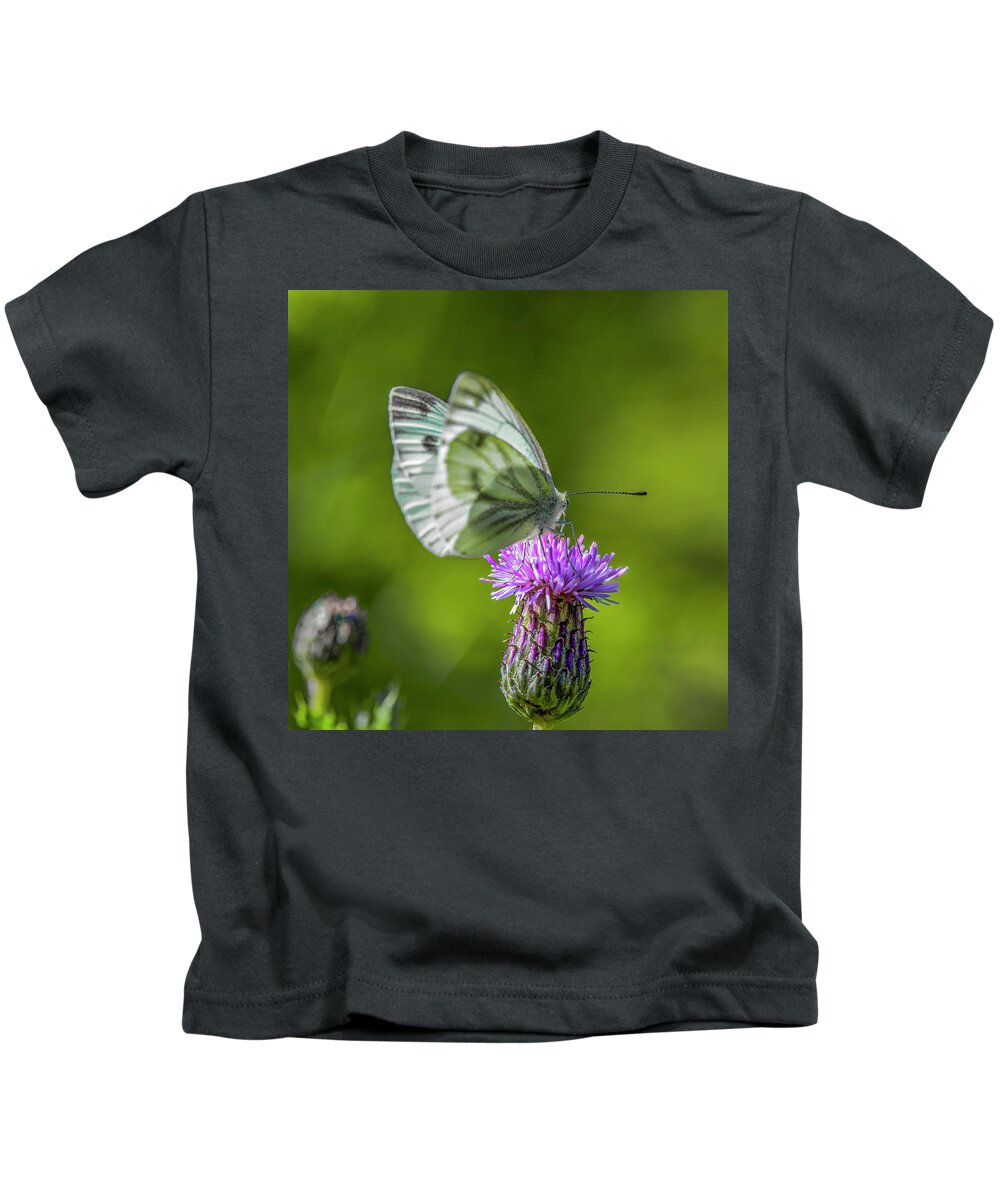 Thistle Dinner Kids T-Shirt featuring the photograph Thistle dinner #i9 by Leif Sohlman