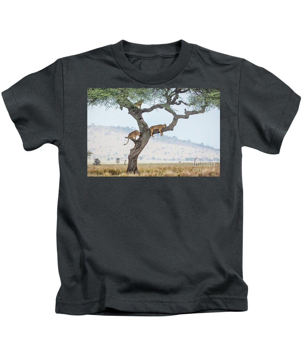 Africa Kids T-Shirt featuring the photograph Tree Climbing Lions by Timothy Hacker