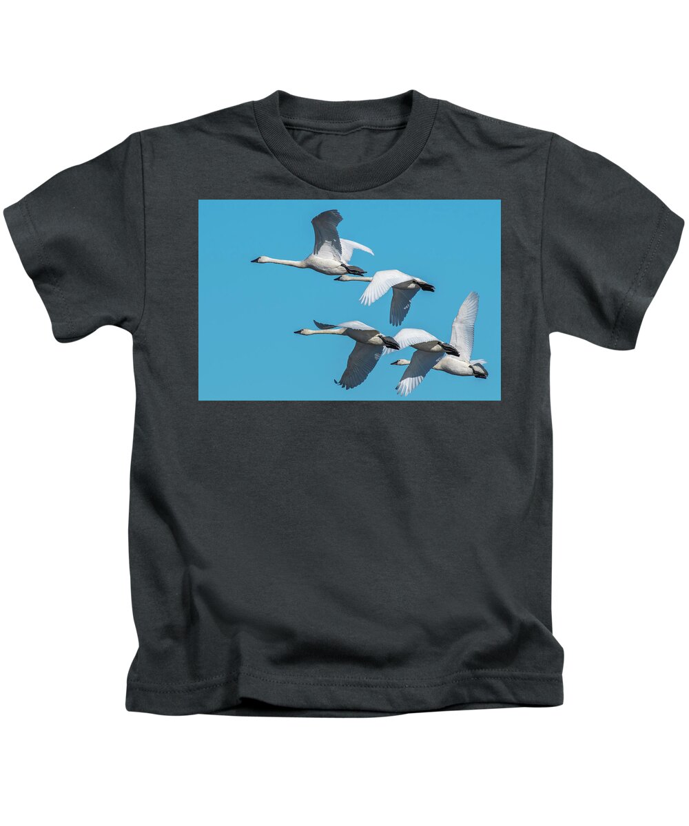 Birds Kids T-Shirt featuring the photograph Tundra Swans in Flight by Donald Brown