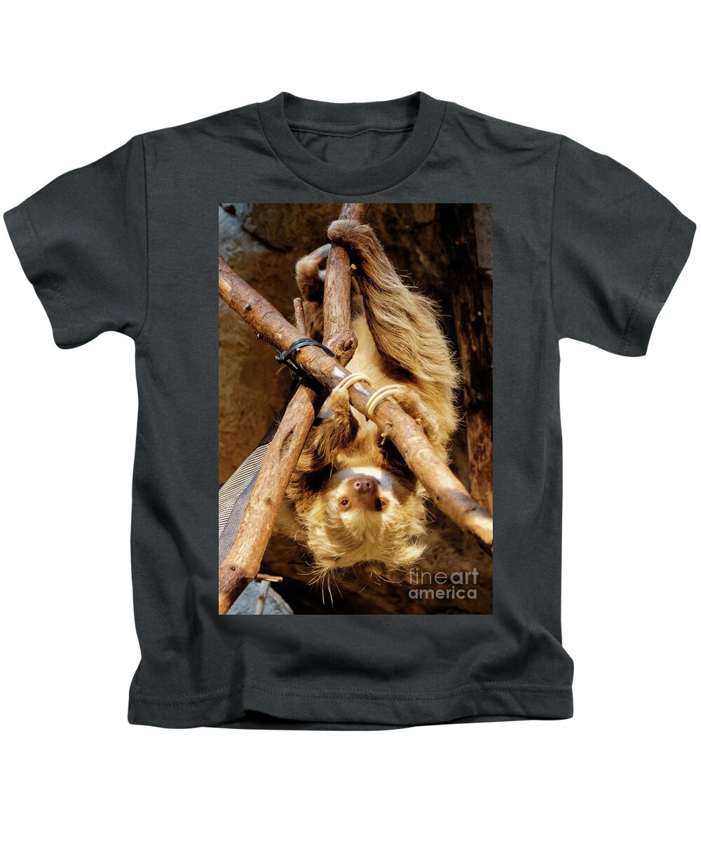 Sloth Kids T-Shirt featuring the photograph Two Toed Sloth by Natural Focal Point Photography
