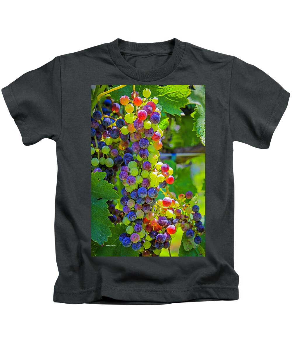 Grapes Kids T-Shirt featuring the photograph Veraison by Dale R Carlson