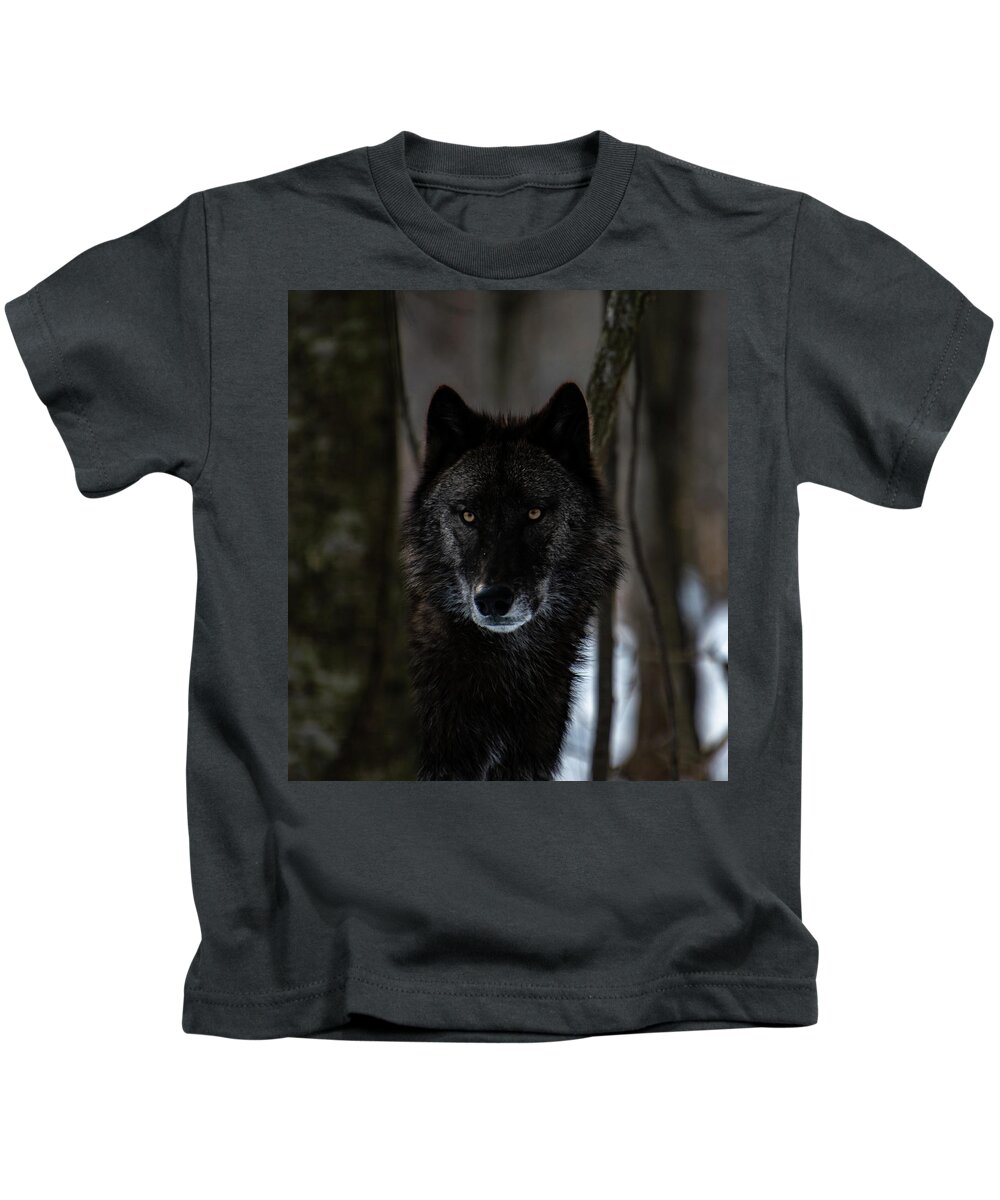 British Columbian Wolf Kids T-Shirt featuring the photograph Watching by Rose Guinther