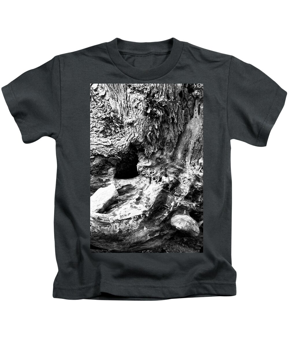 Stump Kids T-Shirt featuring the photograph Weathered Stump by Bob Decker