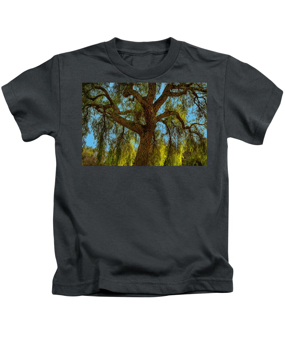 Willow Kids T-Shirt featuring the photograph Wild Willow by Alison Frank