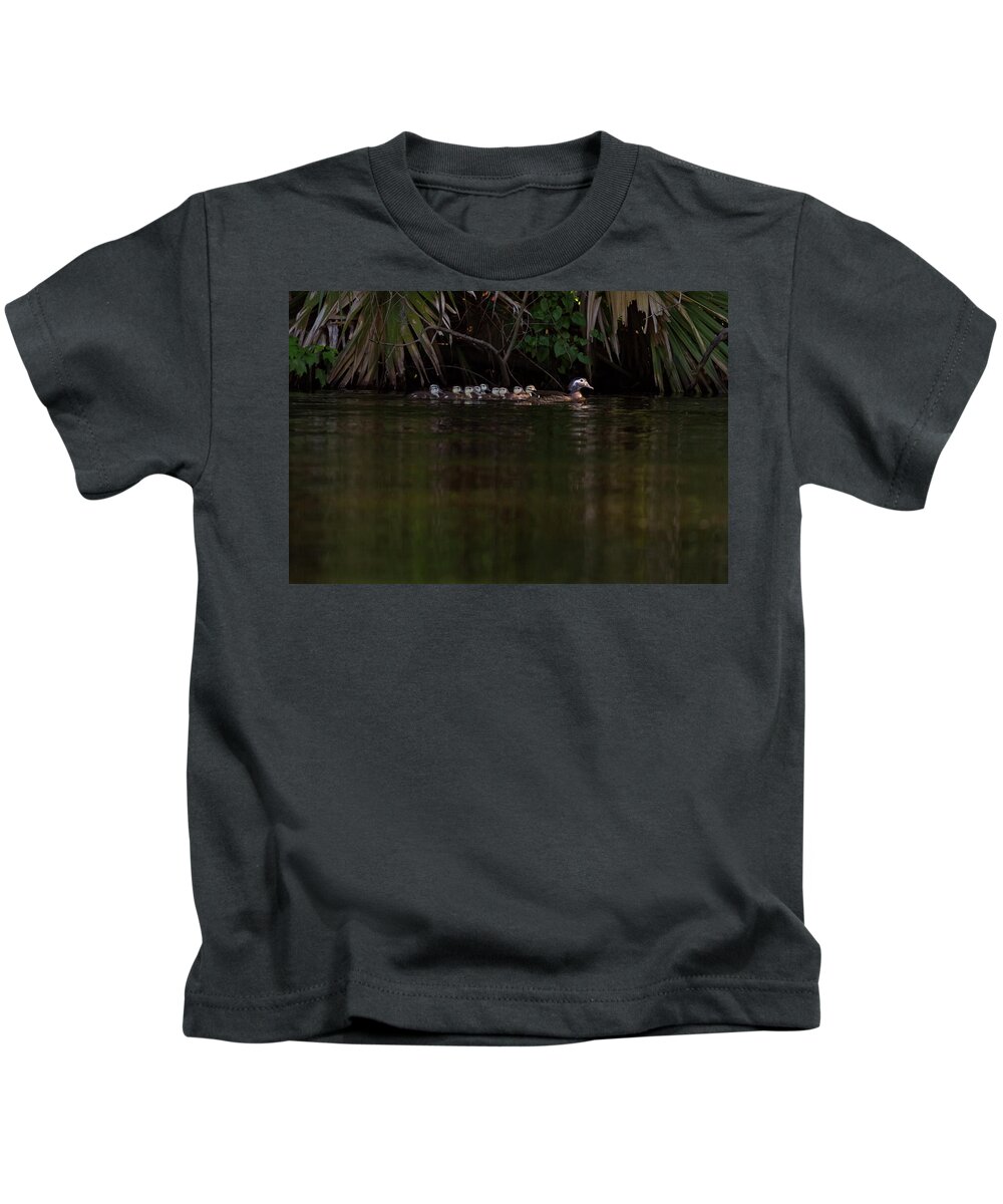 Duck Kids T-Shirt featuring the photograph Wood Duck and Ducklings by Paul Rebmann