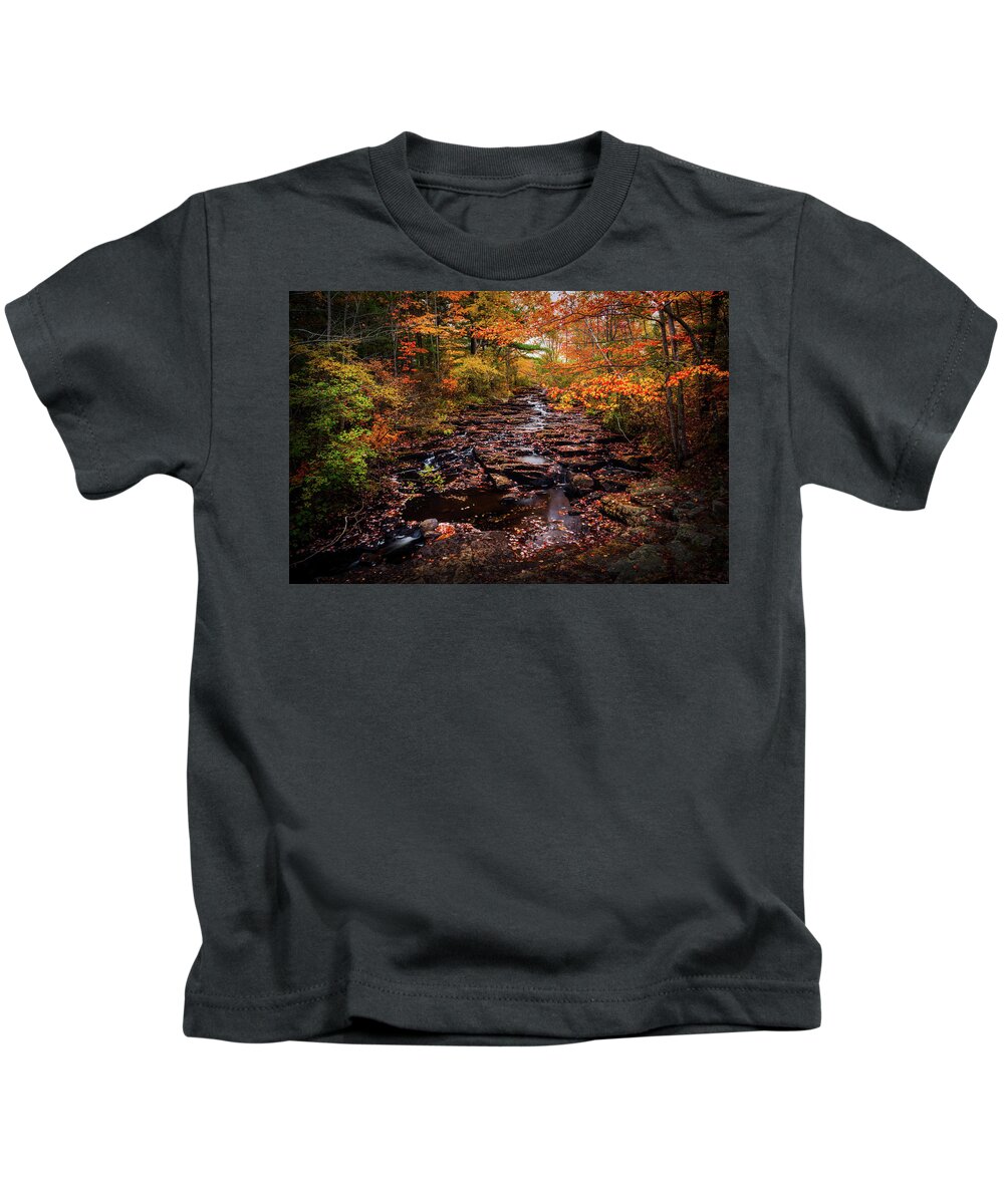 Acadia National Park Kids T-Shirt featuring the photograph Acadia Autumn 34a0765 #1 by Greg Hartford