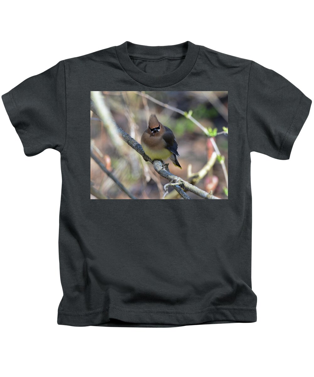  Kids T-Shirt featuring the photograph Cedar Waxwing 6 by David Armstrong