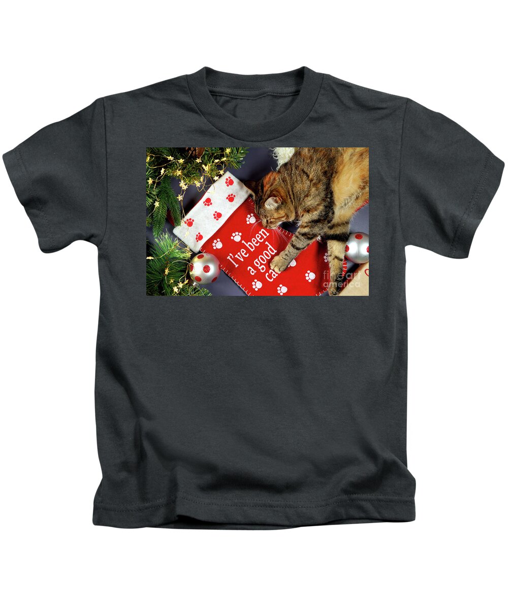 Christmas Kids T-Shirt featuring the photograph Christmas pet stocking with family cat in festive setting. #1 by Milleflore Images