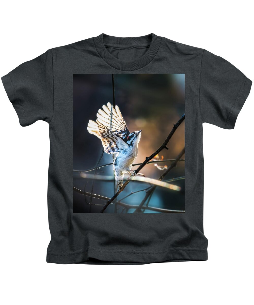 Downy Woodpecker Kids T-Shirt featuring the photograph Downy Woodpecker #1 by Alexander Image
