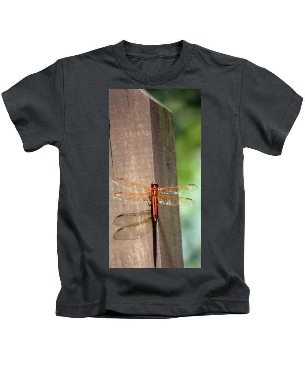 Insect Kids T-Shirt featuring the photograph Dragonfly9379 #1 by Carolyn Stagger Cokley