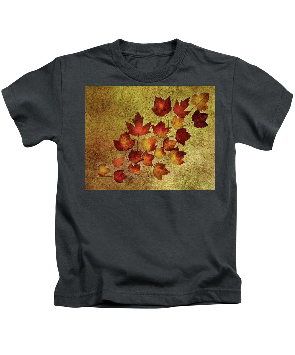 Fall Leaves Kids T-Shirt featuring the photograph Fall Leaves 2 #1 by Rebecca Cozart