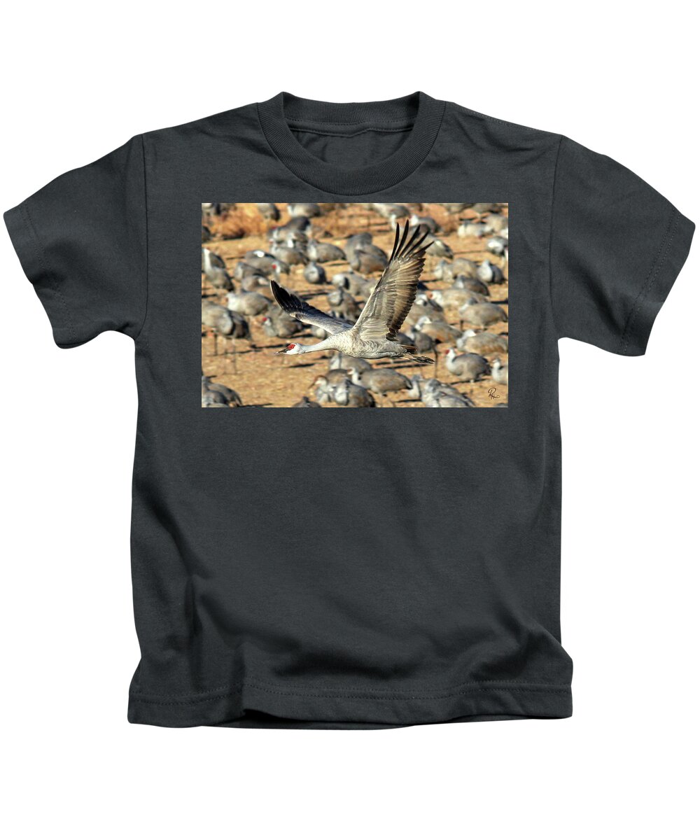 Wildlife Kids T-Shirt featuring the photograph Gliding by Robert Harris