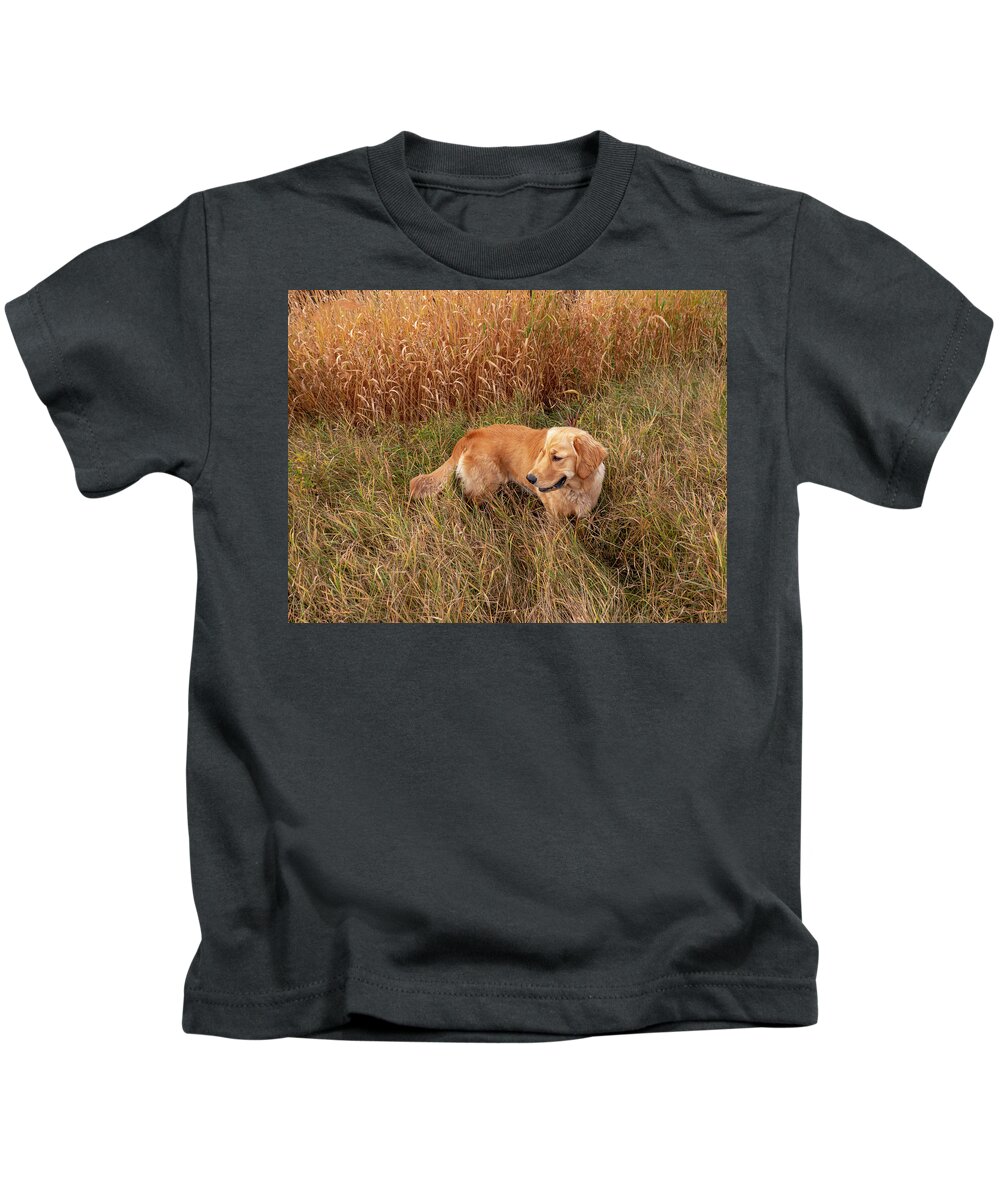 Golden Kids T-Shirt featuring the photograph Golden Retriever In Tall Grass by Karen Rispin