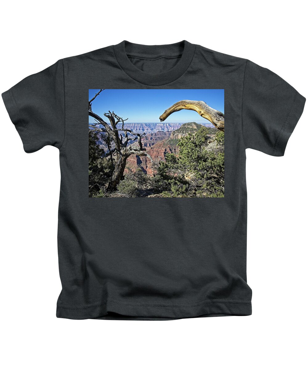 Angel Kids T-Shirt featuring the photograph Grand Canyon North Rim #1 by Ronald Lutz