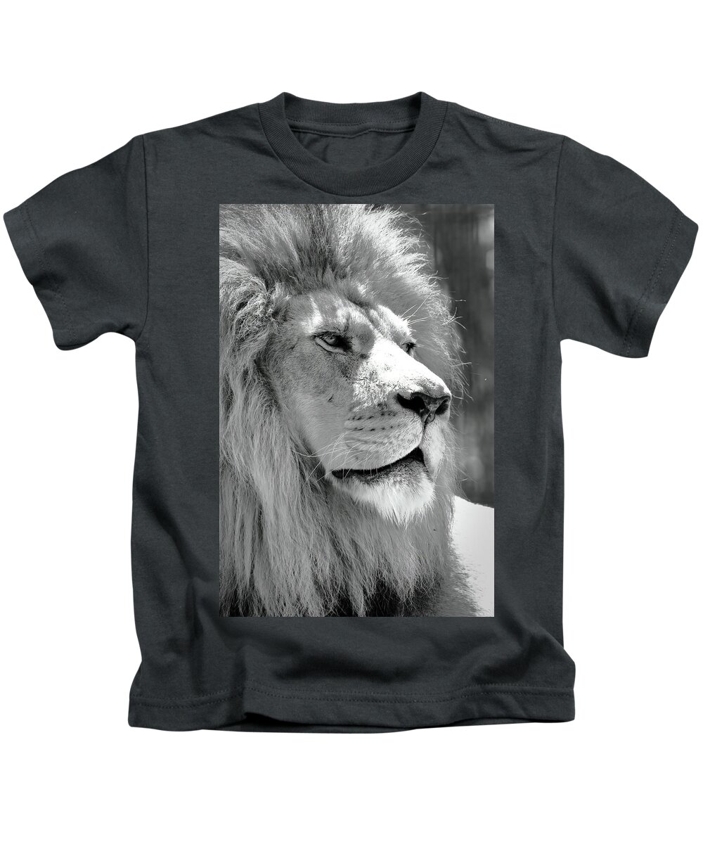 Lion Kids T-Shirt featuring the photograph Is This My Good Side #1 by Lens Art Photography By Larry Trager