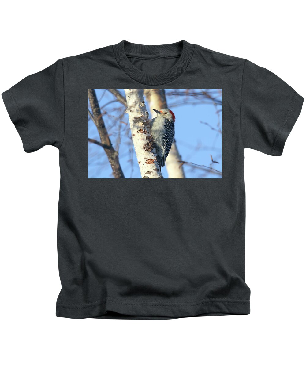 Red Bellied Kids T-Shirt featuring the photograph Red Bellied Woodpecker #1 by Brook Burling