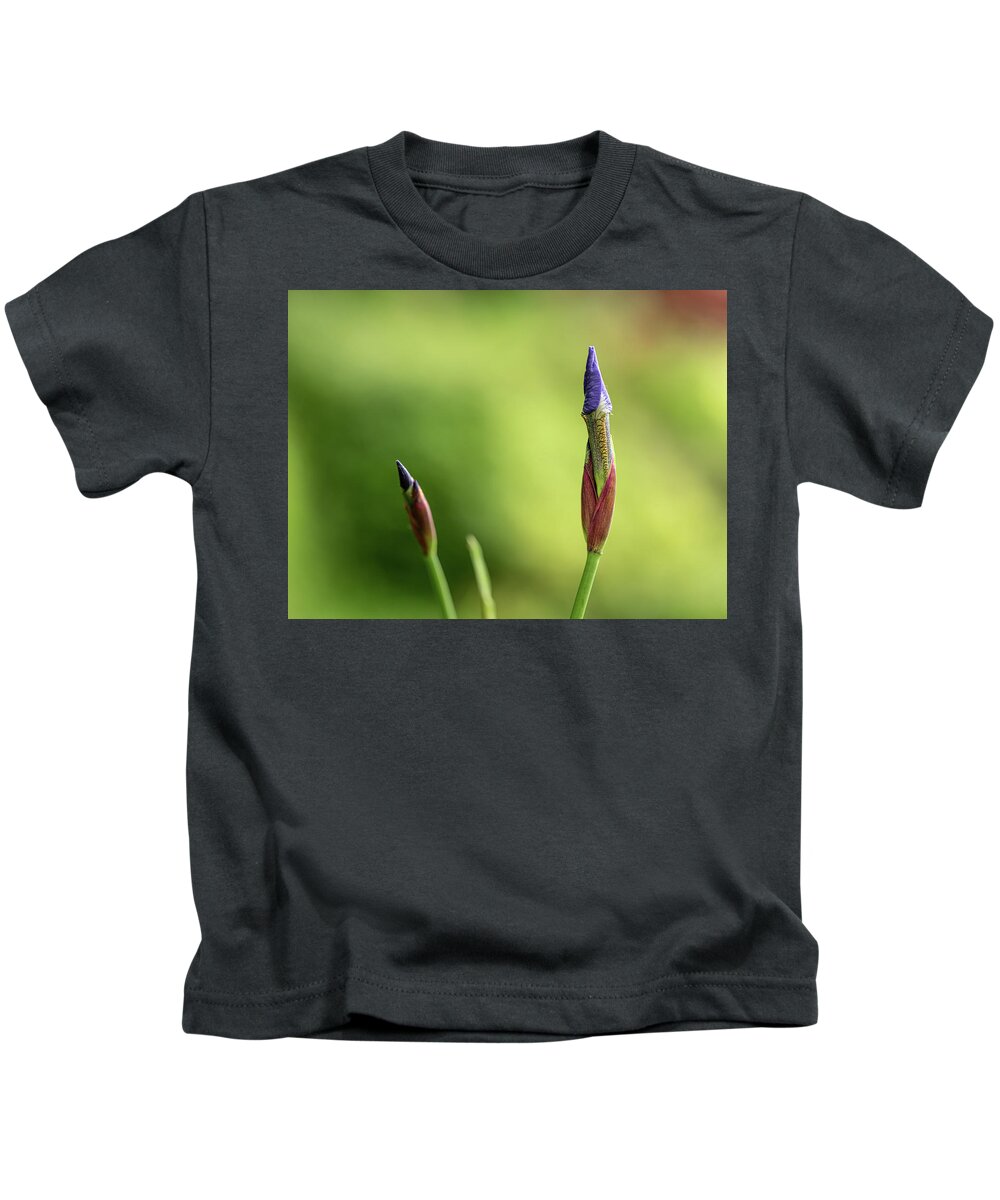Spring Kids T-Shirt featuring the photograph Siberian iris - Iris sibirica #1 by Average Images