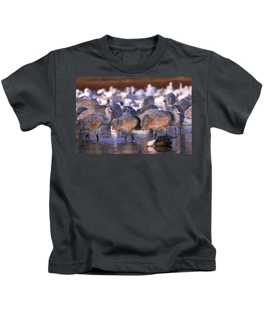 Basque Del Apache Kids T-Shirt featuring the photograph Taking a Stroll #1 by Robert Harris