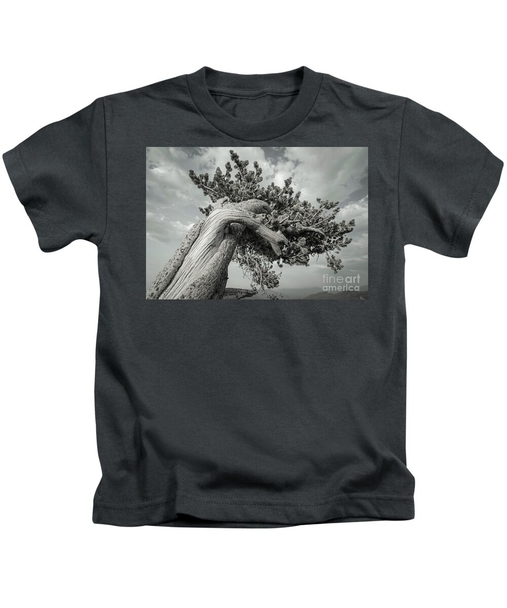 Ancient Sentinels Kids T-Shirt featuring the photograph Twisted by Maresa Pryor-Luzier