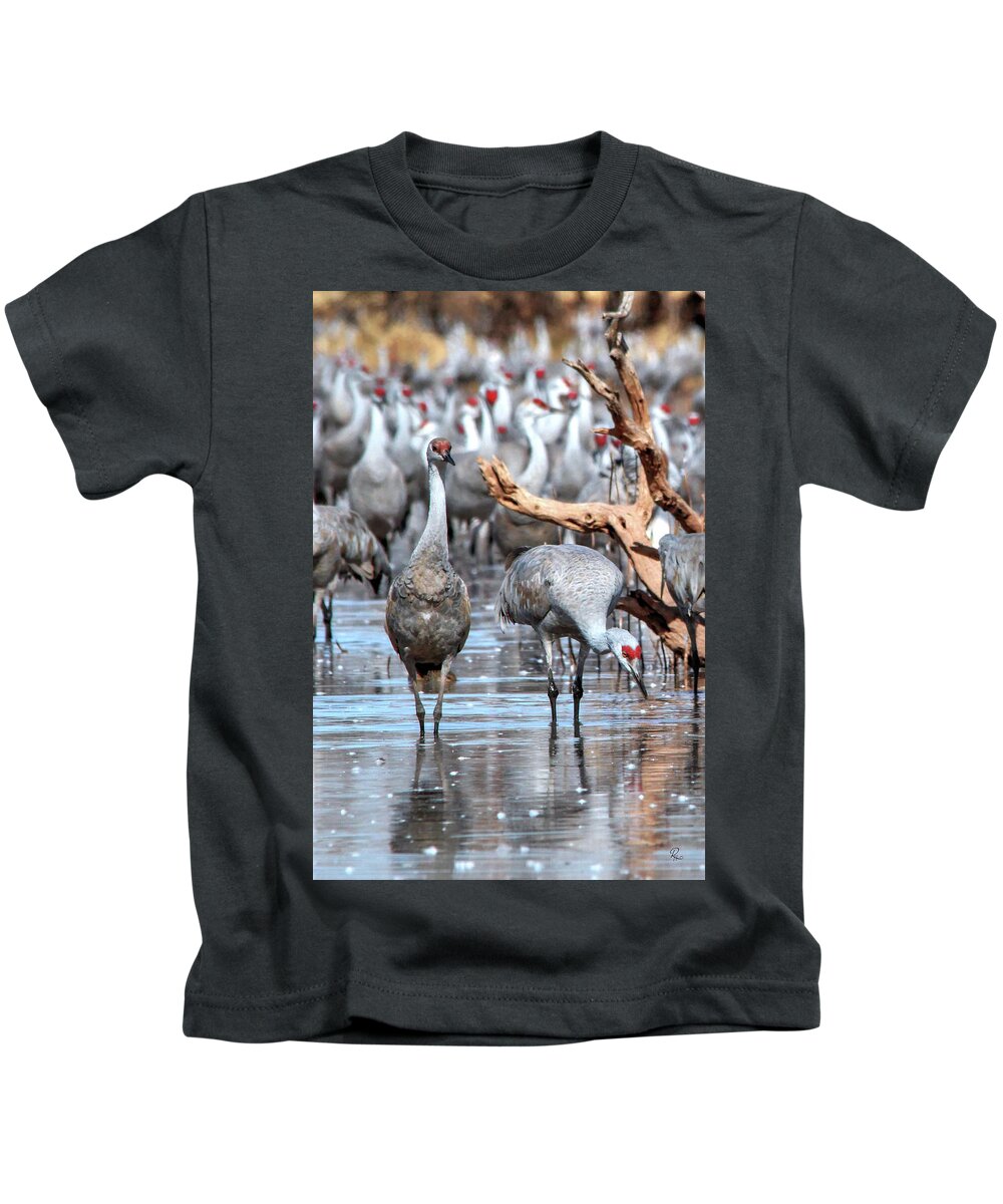Wildlife Kids T-Shirt featuring the photograph Whitewater Draw 2467 by Robert Harris