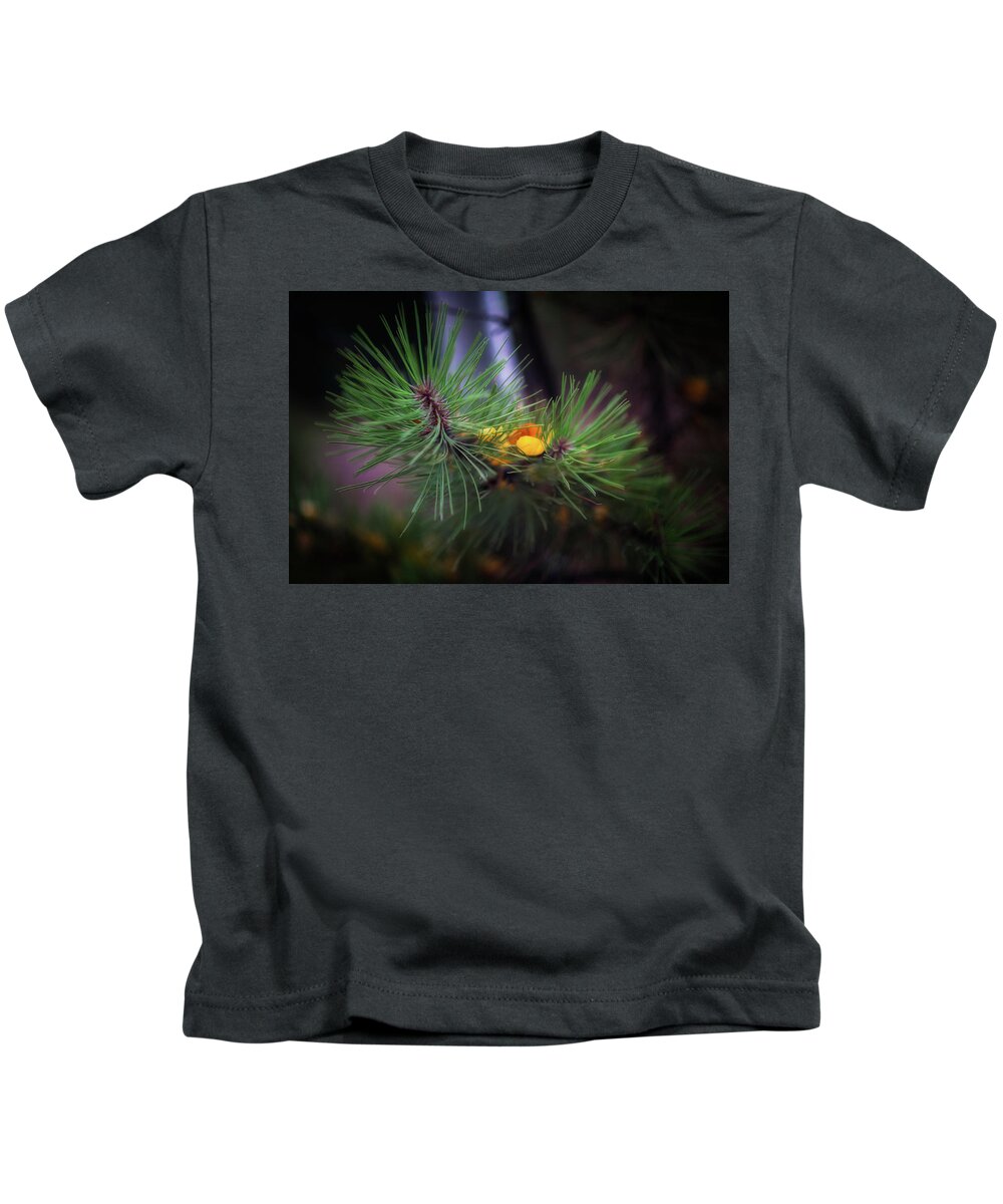 Fall Kids T-Shirt featuring the photograph Fall colors, Colorado #2 by Doug Wittrock
