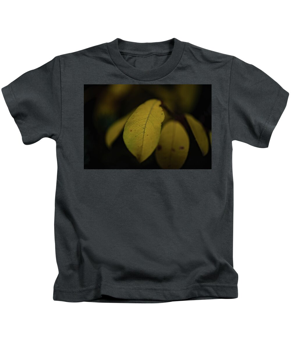 Co Kids T-Shirt featuring the photograph Fall colors, Colorado by Doug Wittrock